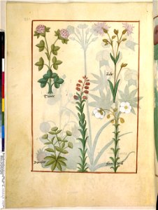 BnF Français 12322, f.153v
