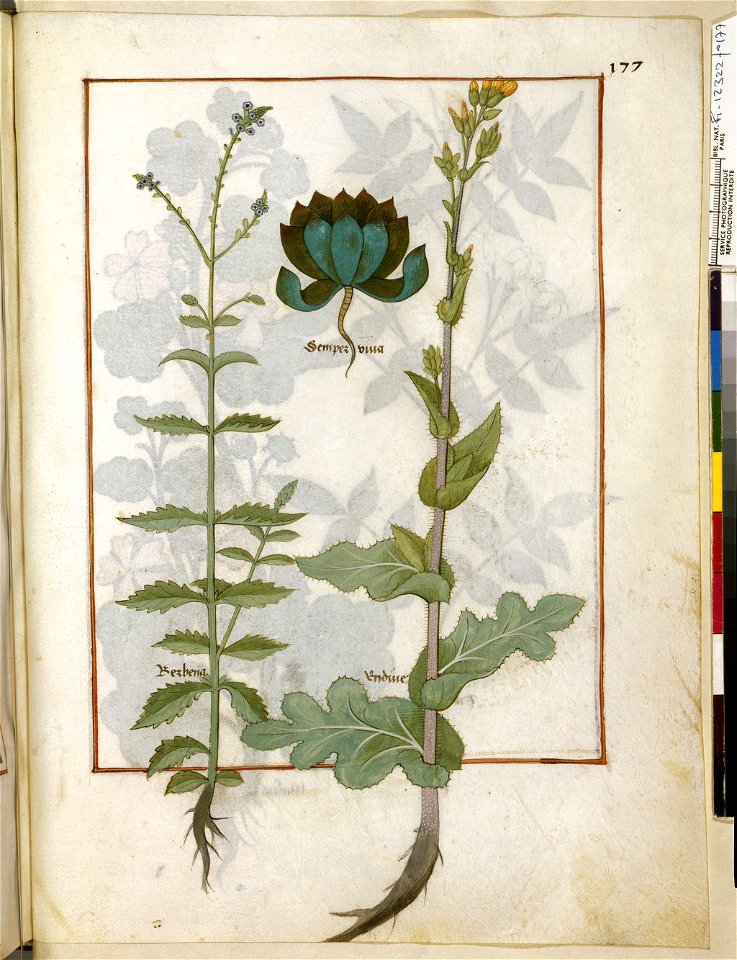 BnF Français 12322, f.177r