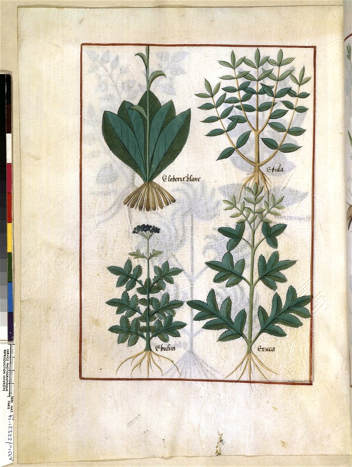 BnF Français 12322, f.156v