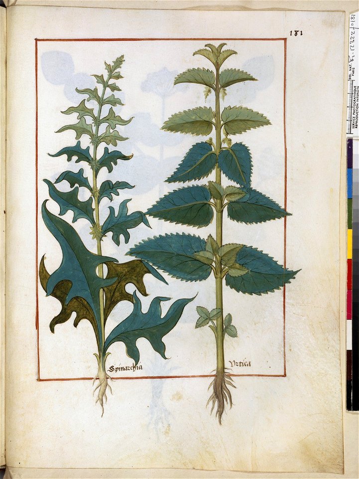 BnF Français 12322, f.181r