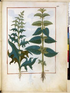 BnF Français 12322, f.181r