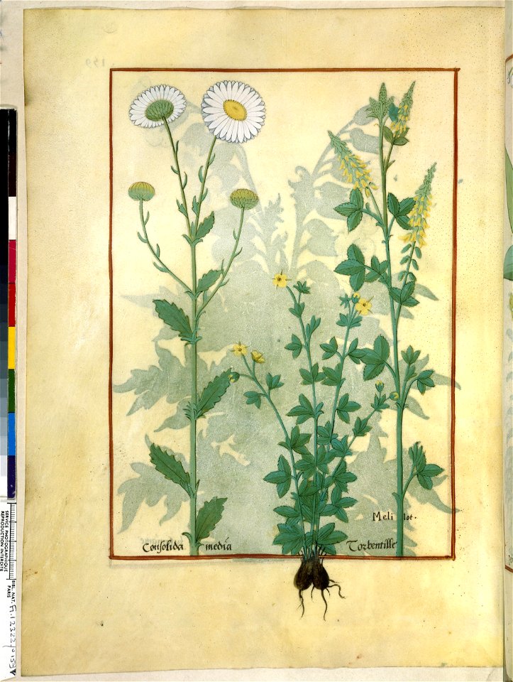 BnF Français 12322, f.159v