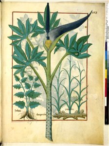 BnF Français 12322, f.183r