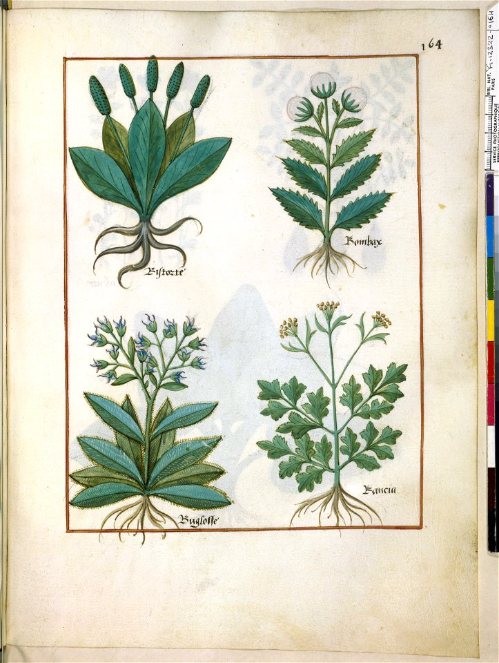 BnF Français 12322, f.164r