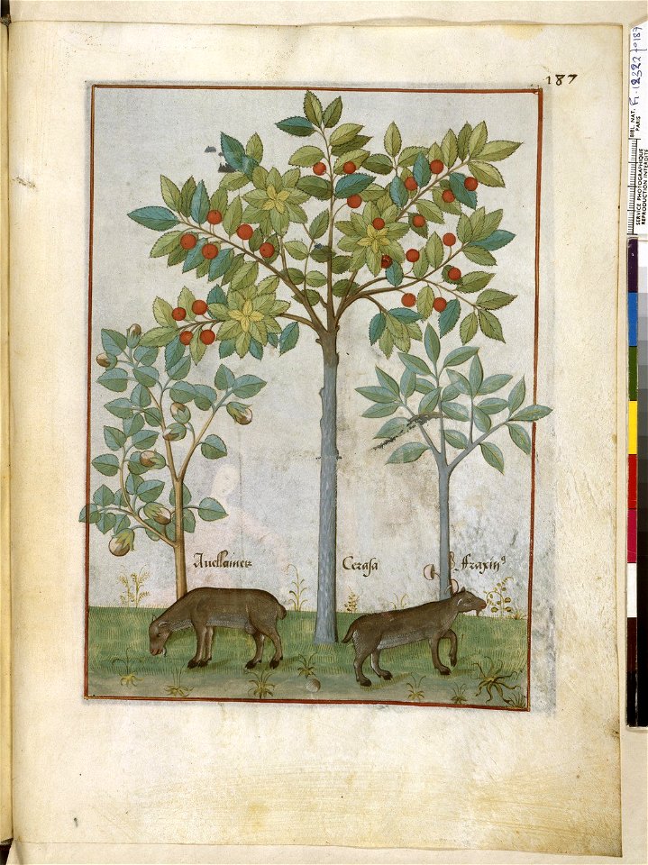 BnF Français 12322, f.187r