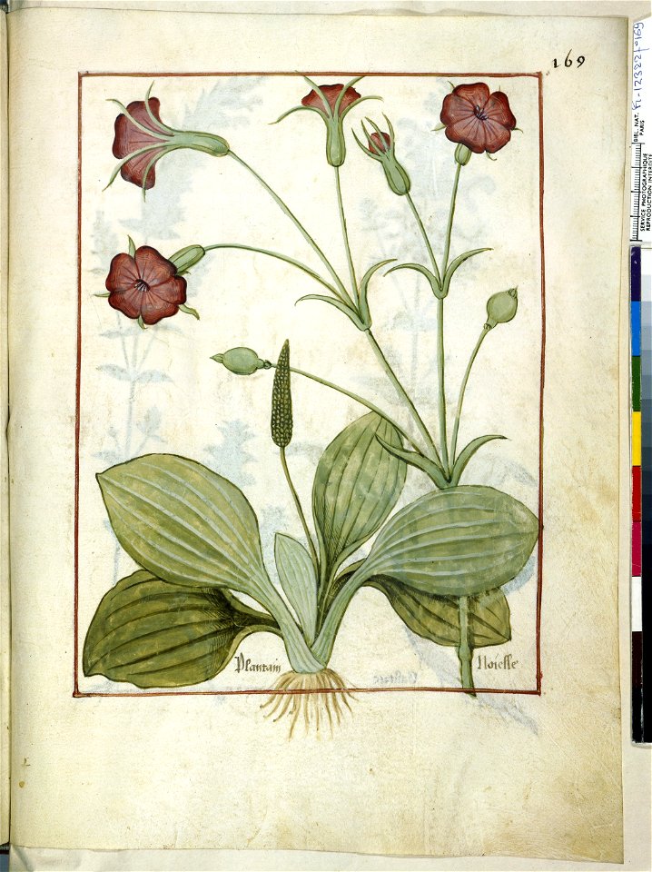 BnF Français 12322, f.169r