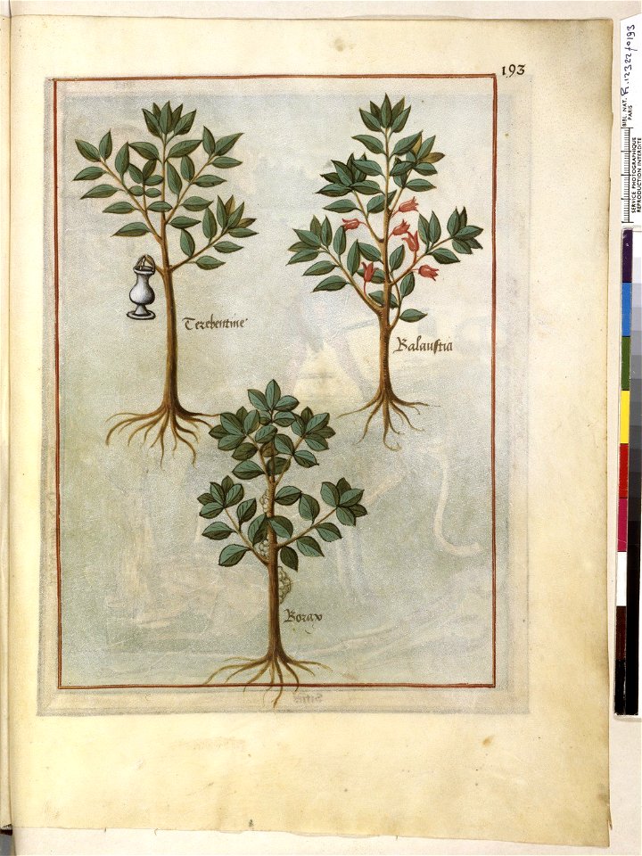 BnF Français 12322, f.193r