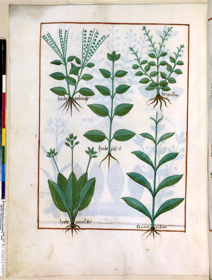 BnF Français 12322, f.172v