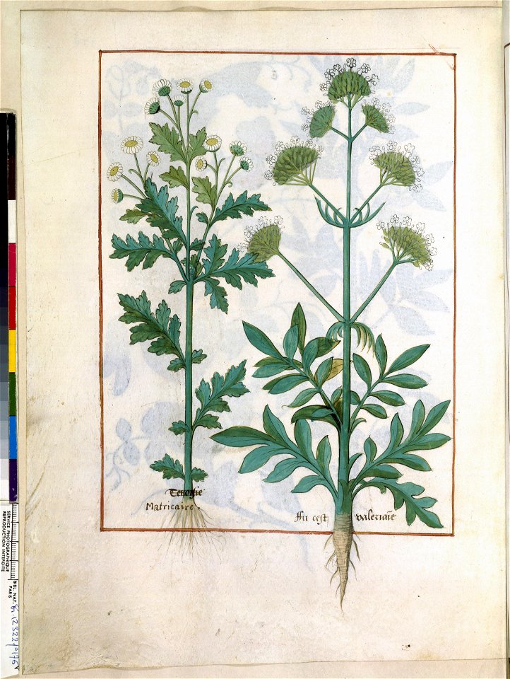 BnF Français 12322, f.176v