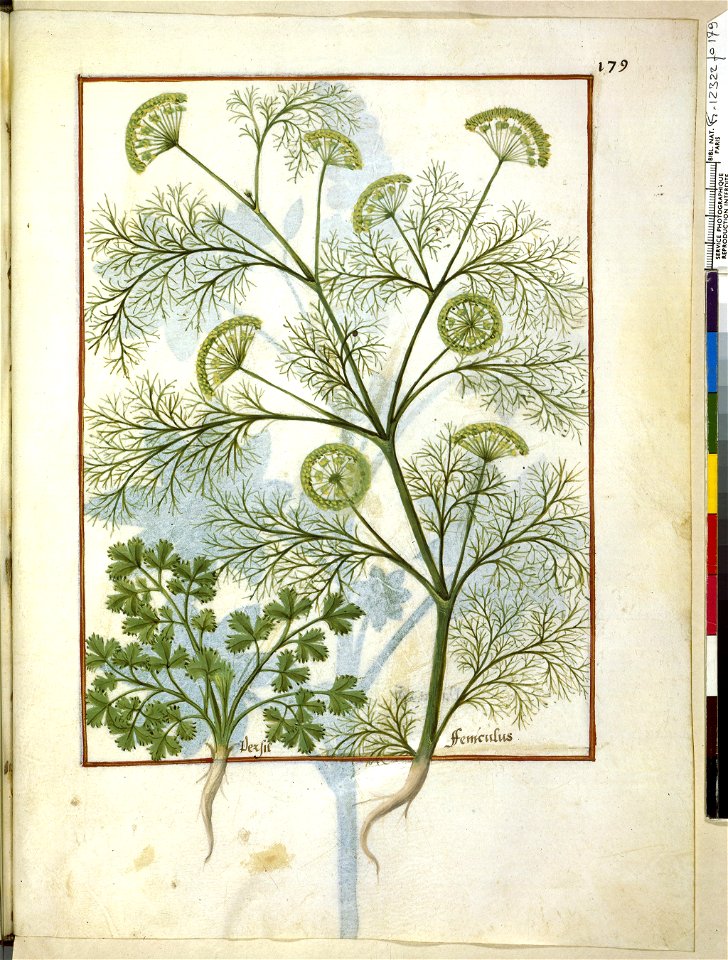 BnF Français 12322, f.179r