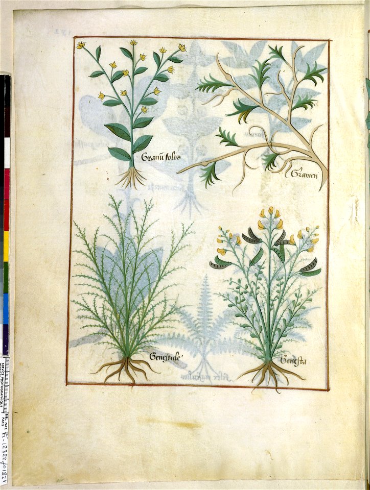 BnF Français 12322, f.182v