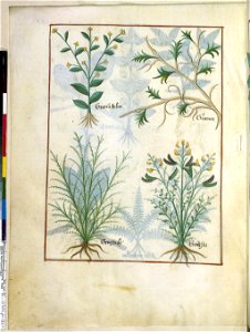 BnF Français 12322, f.182v
