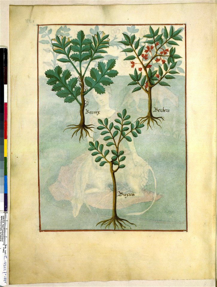 BnF Français 12322, f.188v