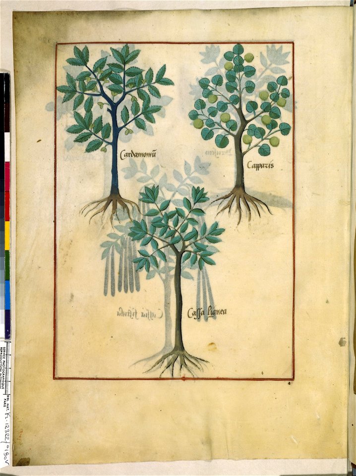 BnF Français 12322, f.190v
