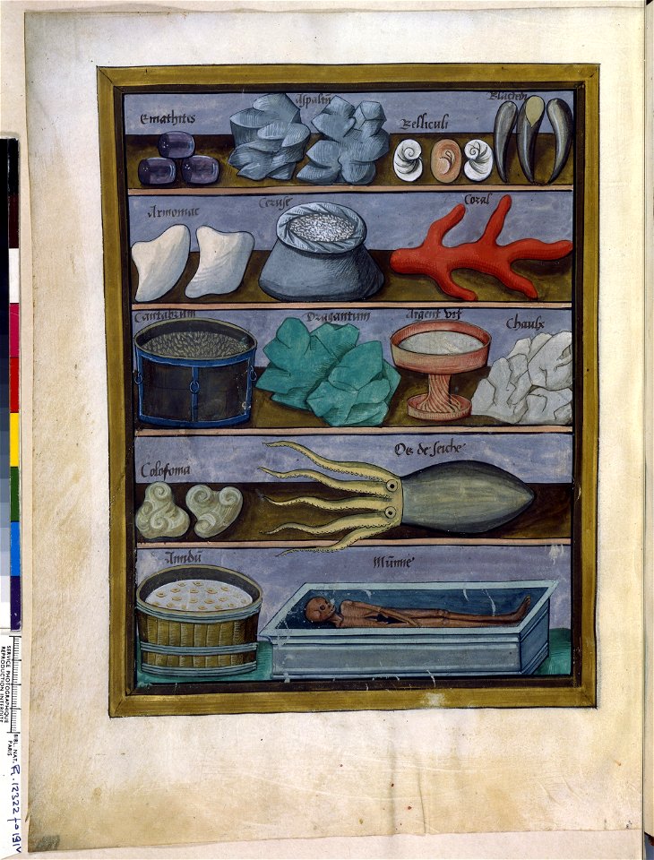 BnF Français 12322, f.191v