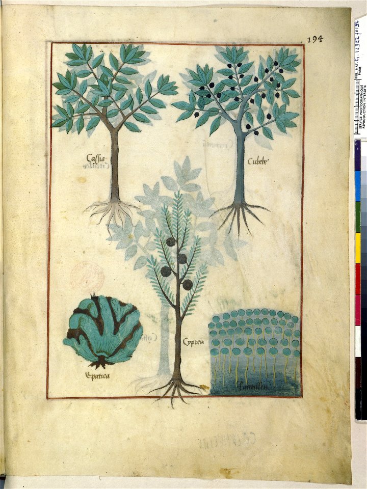 BnF Français 12322, f.194r