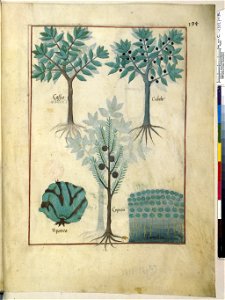 BnF Français 12322, f.194r