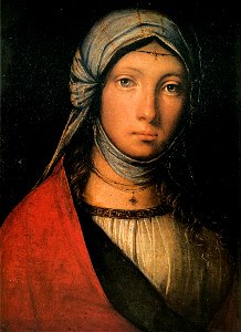 Boccaccino, zingarella