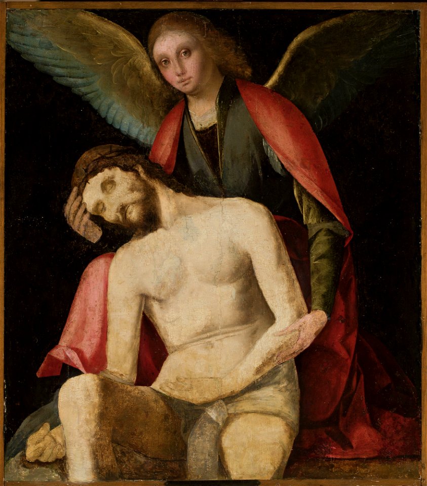 Boccaccino (ante 1466-1525) - Angel Pieta - M.Ob.626 MNW - National Museum in Warsaw