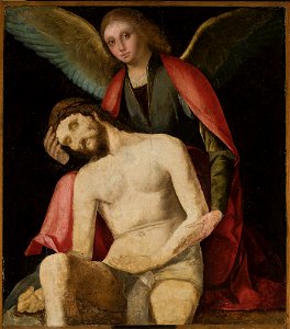 Boccaccino (ante 1466-1525) - Angel Pieta - M.Ob.626 MNW - National Museum in Warsaw. Free illustration for personal and commercial use.