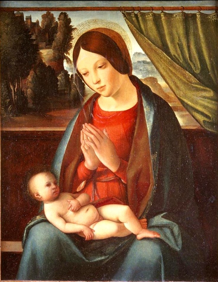 Boccaccio Boccaccino Virgen con niño 1510 Lowe Art Museum Miami
