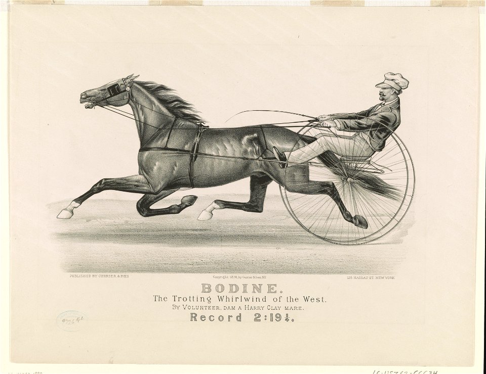 Bodine- The trotting whirlwind of the West LCCN90711965