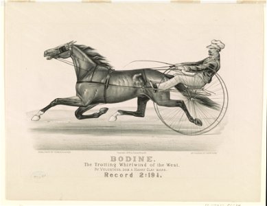 Bodine- The trotting whirlwind of the West LCCN90711965