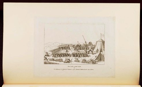 Bodleian Libraries, Alte Liebe rostet nicht oder- Beschäftingung des grossen Mannes auf der kleinen RattenInsel SanctHelena