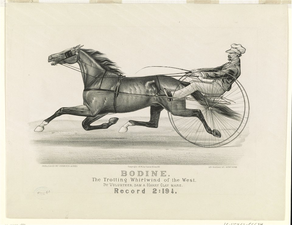 Bodine- The trotting whirlwind of the West LCCN90711965