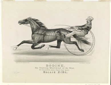 Bodine- The trotting whirlwind of the West LCCN90711965