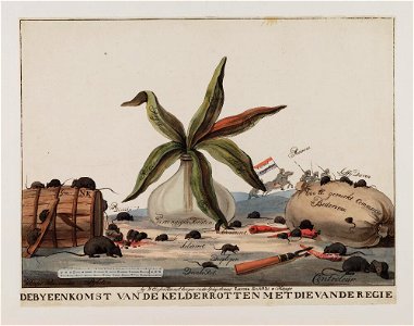 Bodleian Libraries, De by een komst van de kelderrotten met die van de regie- Napoleon Bonaparte premier consul s'est rendu à Notre Dame pou