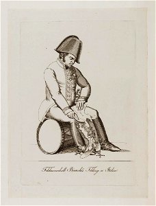 Bodleian Libraries, Feldmarschall Bianchi's Feldzug in Italien