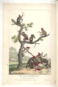 Bodleian Libraries, Les singe indépendans ou- le marchand dévalisé tiré du voyage de Brue consul français au Sénégal