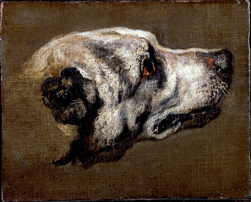 Boel, Pieter - Head of a Hound - Google Art Project