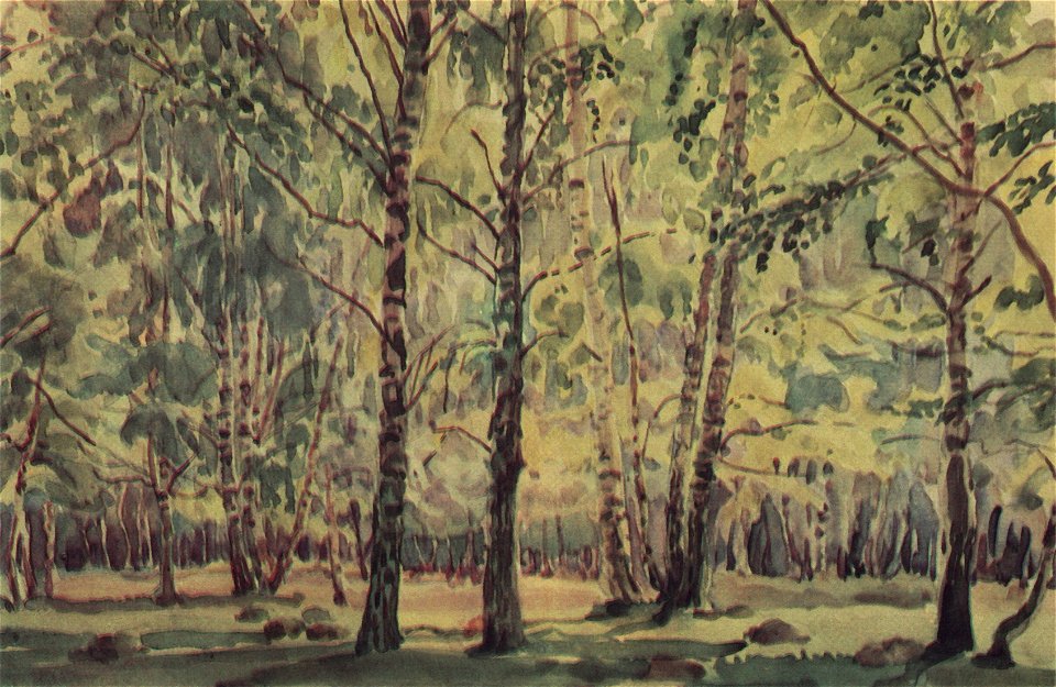 Bogaevsky The Birch Grove