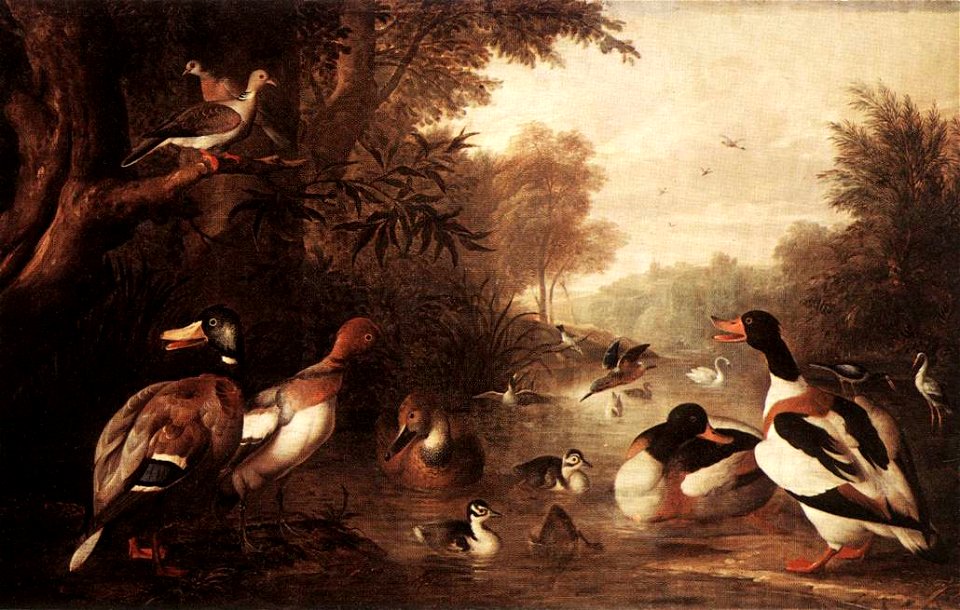Bogdany, Jakab - Landscape with Ducks