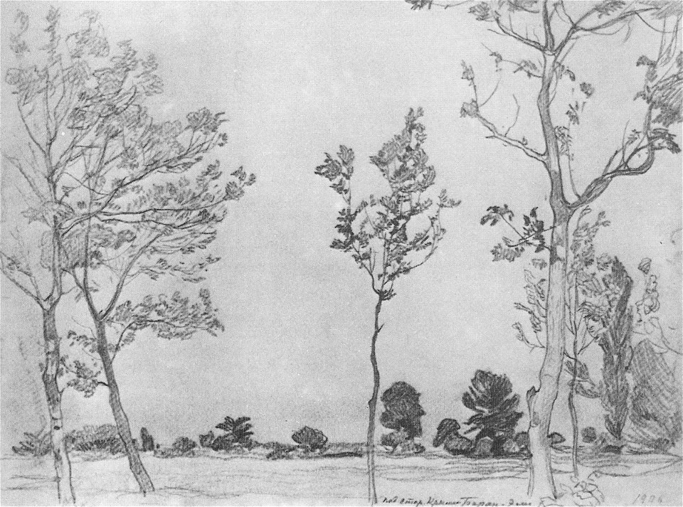 Bogaevsky Trees