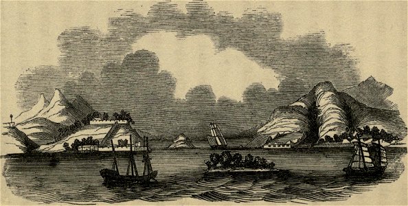 Bogue forts