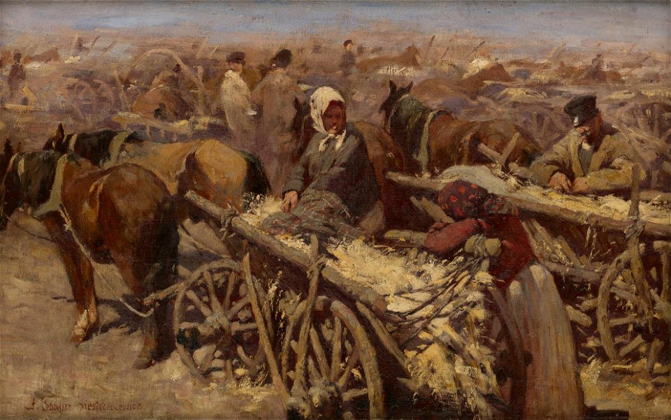 Stanisław Bohusz-Siestrzeńcewicz - Rynek (1896)