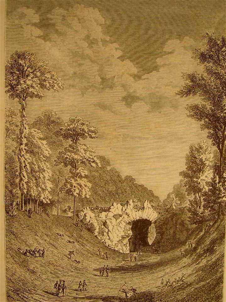 Bois de la Cambre