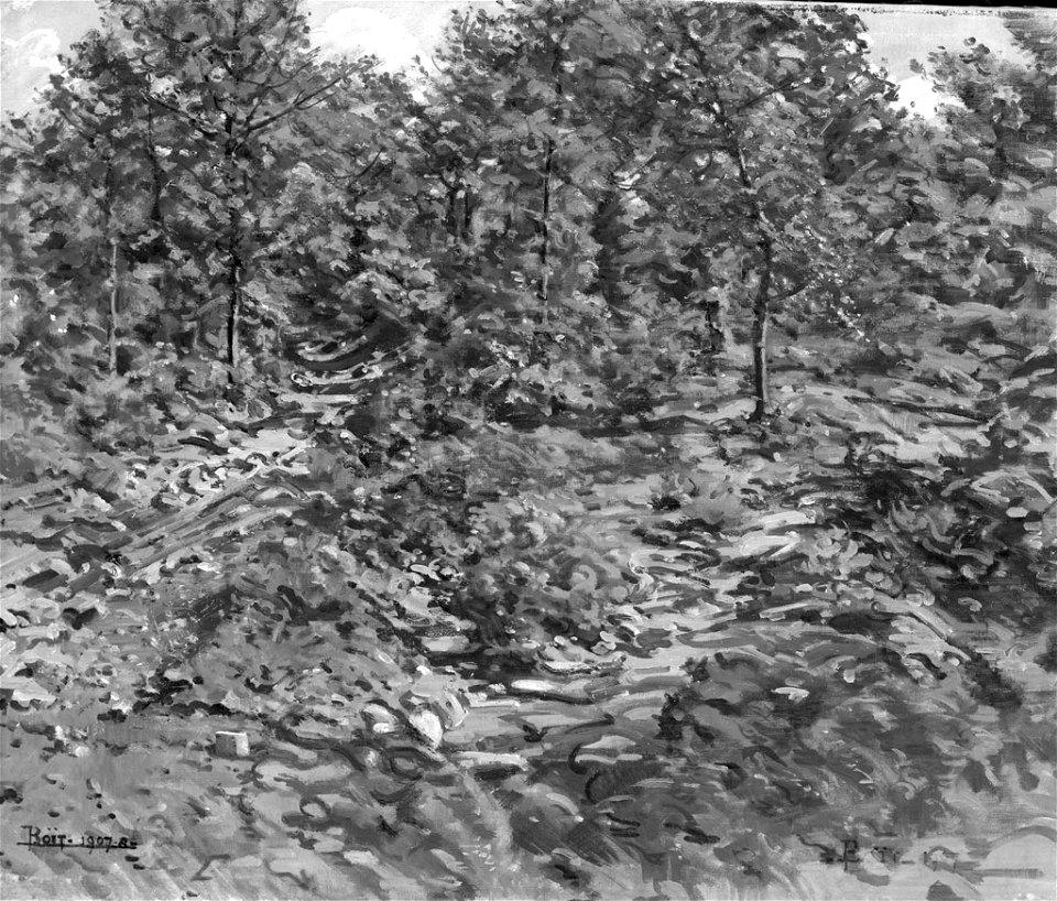 Edward Darley Boit - Rocky Hillside - 27.1326 - Museum of Fine Arts
