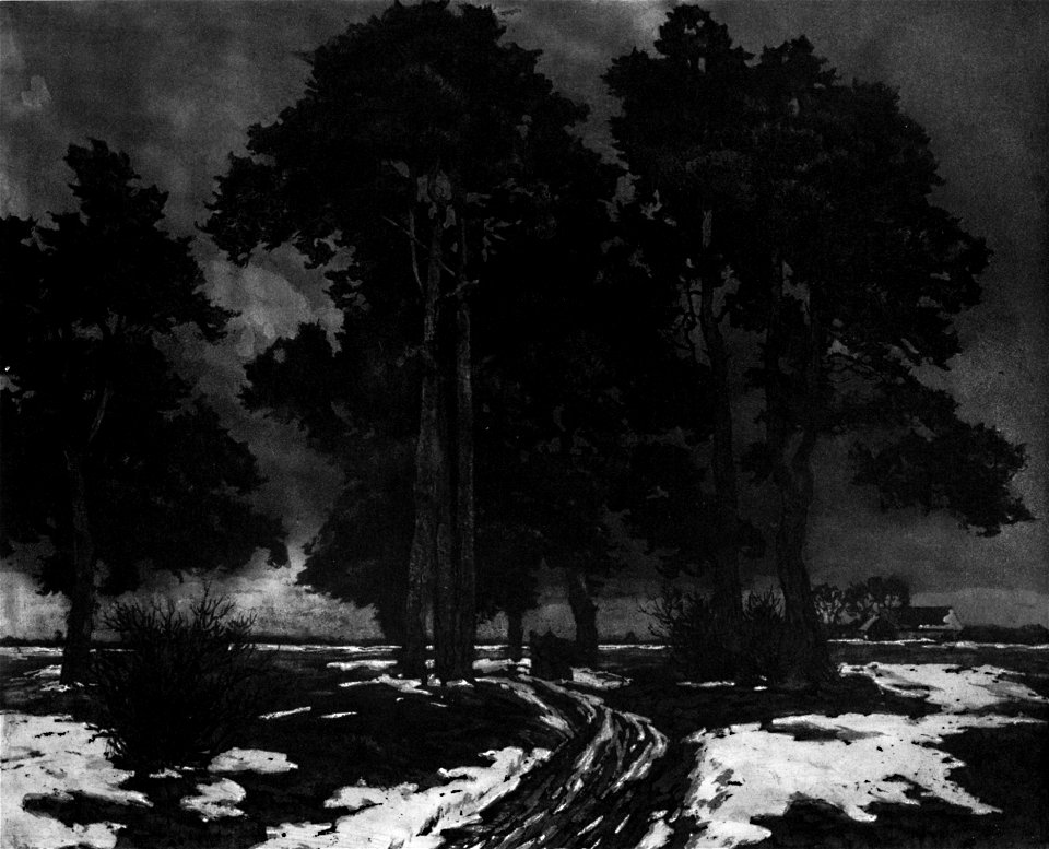 Carl-felber-017-foehren-moor