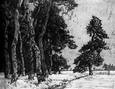 Carl-felber-021-moorwald