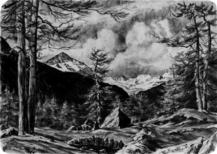 Carl-felber-029-rosegtal