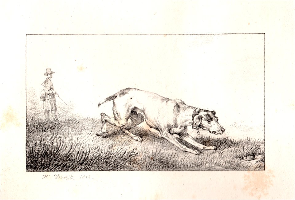 Carle (Horace) Vernet - chienne de chasse (1818)