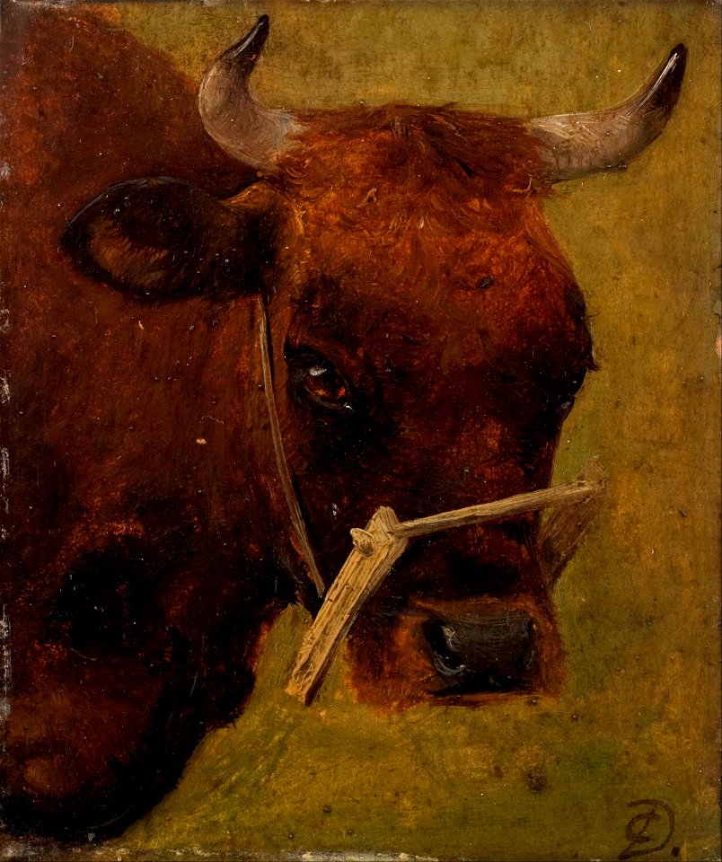 Carlo Dalgas - Head of a cow. Study. - Google Art Project