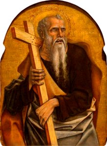 Carlo crivelli, montefiore, apostolo di honolulu 02