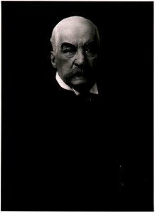 Carlos Baca-Flor - John Pierpont Morgan (1837-1913) - H464 - Harvard Art Museums