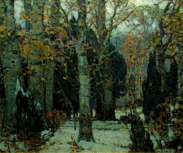 December Woods, Woodstock, New York by John Fabian Carlson