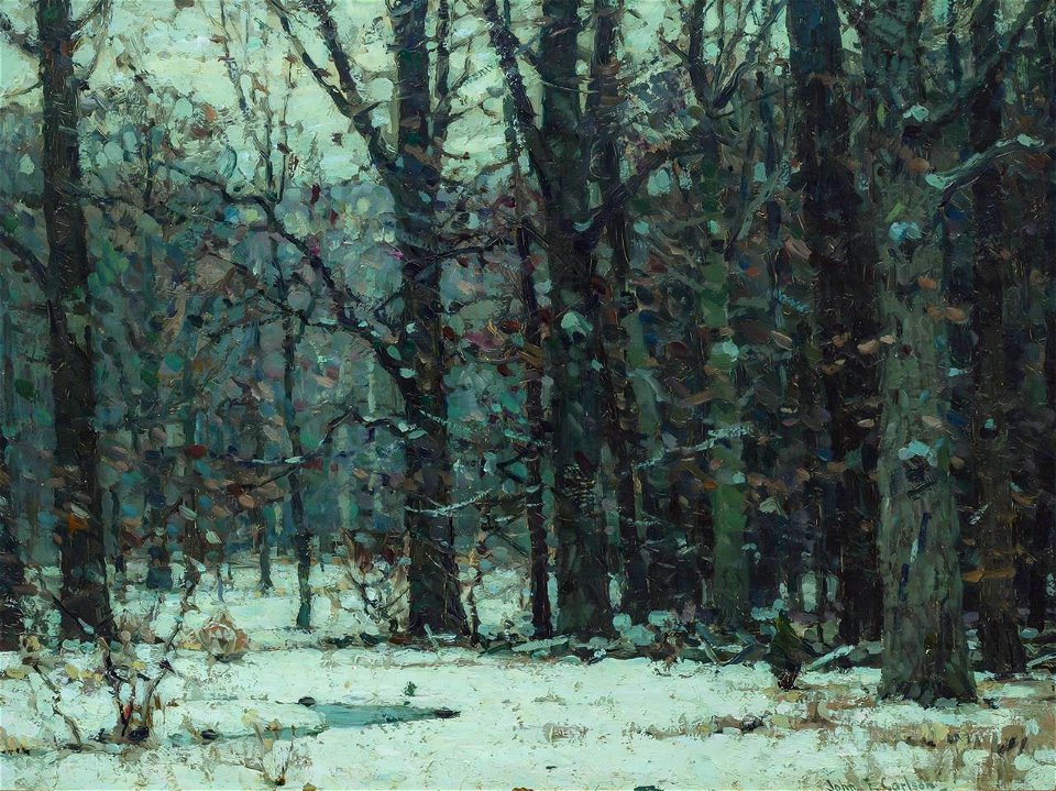 Silent Woods by John Fabian Carlson
